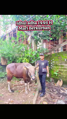Hari Raya Idhul Adha 1446 H Mari Saudaraku kita Berkurban #idhuladha2025  #fypage #fyp 