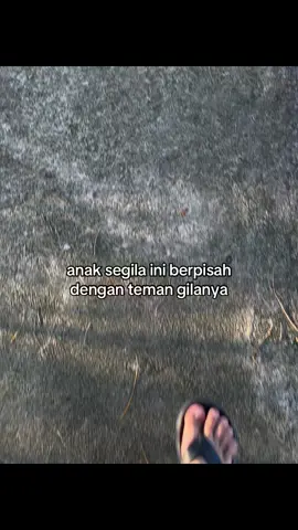 #galaubrutal 