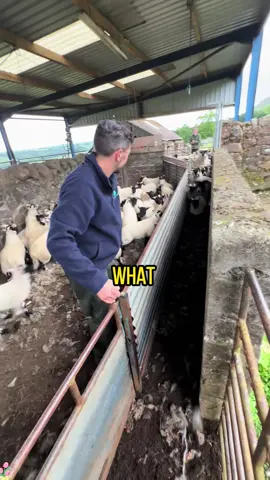 part1 | #ask#askreddit#LearnOnTikTok#reddit#story#satisfying#relaxing