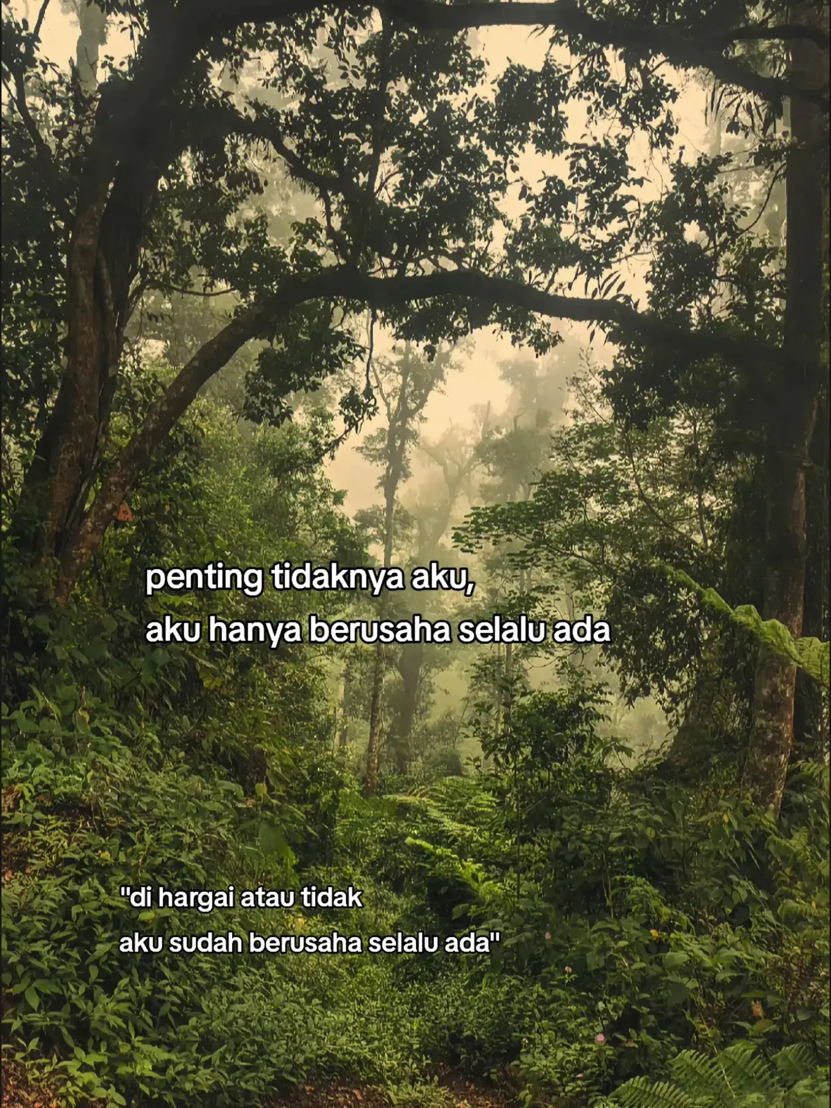 #xybca #foryou #fyp 