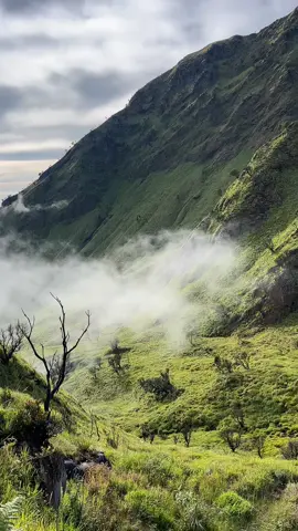 sumpah ini viewnya😍 #pendakiindonesia #pendaki #fypage #merbabuviathekelan 