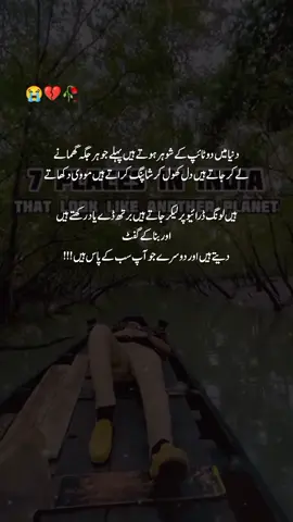 2 Line's Urdu Status 😭💔 #viralvideo #trending 