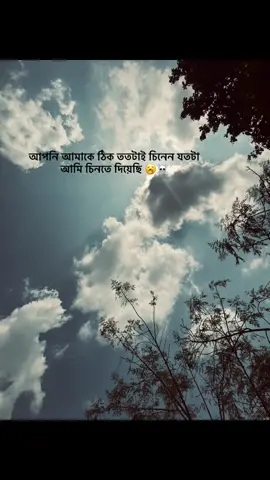 আপনি আমাকে ঠিক ততটাই চিনেন! যতটা আমি চিনতে দিয়েছি 🥱☠️ #fypシ゚ #foryou #viralvideo #mahinx0x 