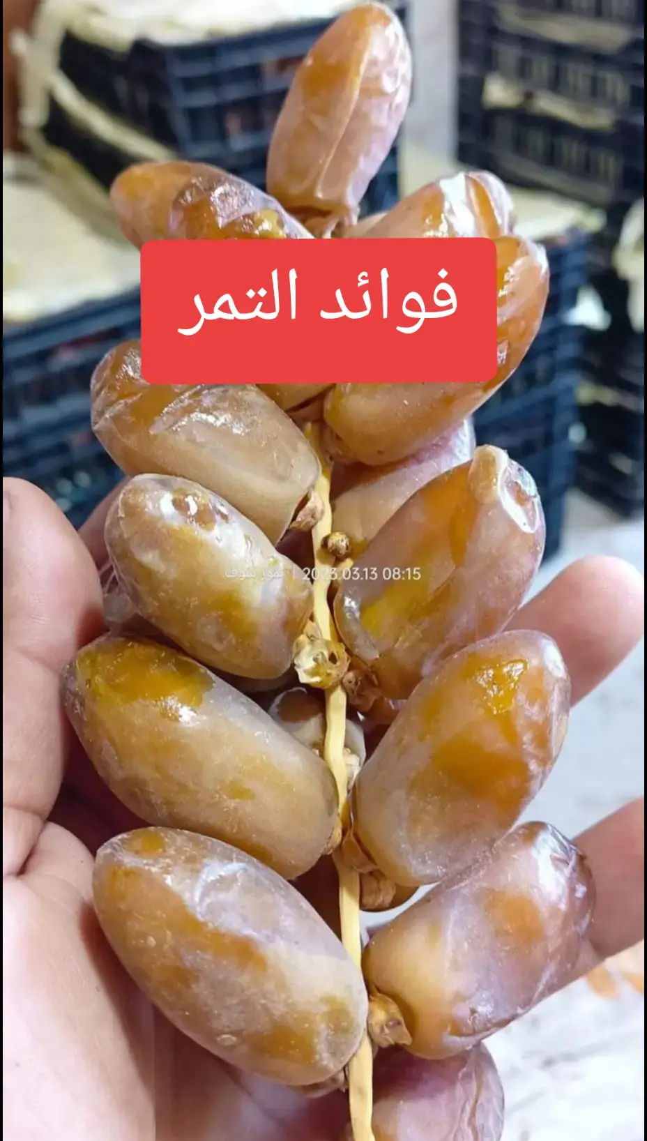 #فوائد التمر#فوائد #صحة_المرأة #صحة_عامة #doctor #طبيب #دكتور #علاج_طبيعي #علاج_بالاعشاب #fyp #foryoupage #علاج #اعشاب #فوائد_صحية #اللهم_صلي_على_نبينا_محمد #