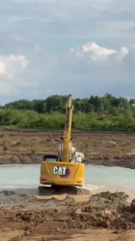 Mandi dulu🥰#caterpillar 