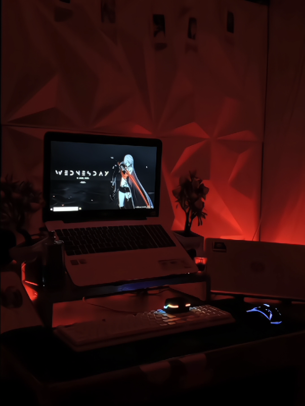 Next upgrade tipis
