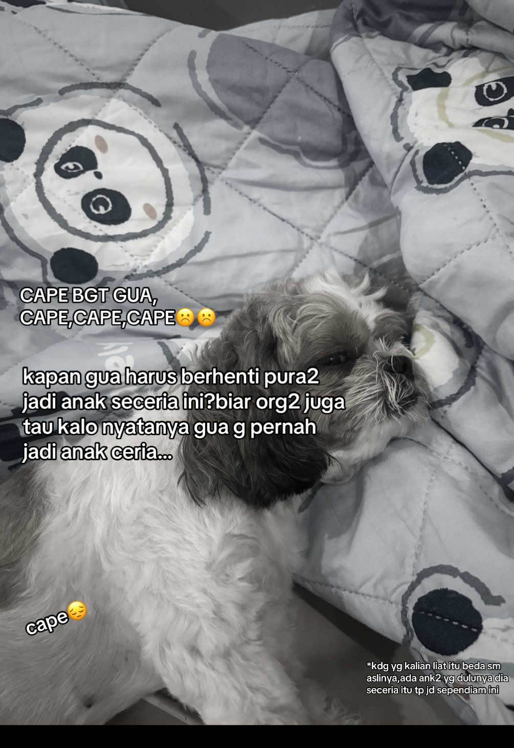 #fypage #xyzbca #fypp 