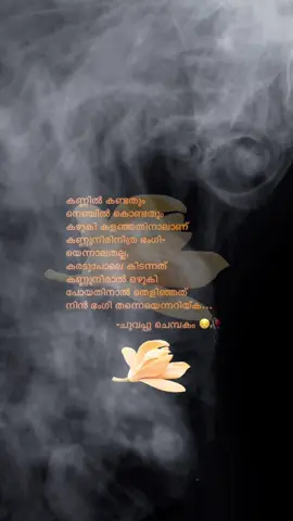 തെളിഞ്ഞത് നിൻ ഭംഗി തന്നെയെന്നറിയ്ക… -ചുവപ്പു ചെമ്പകം 😔🥀 ആലാപനകവിതഃ സംഗമം രചനഃ ഷൈല ബാബു ആലാപനംഃ ജോൺസ് ജോസ് #chuvappuchempakam #ചുവപ്പുചെമ്പകം #oruneermathalapoove #കവിതകൾ 