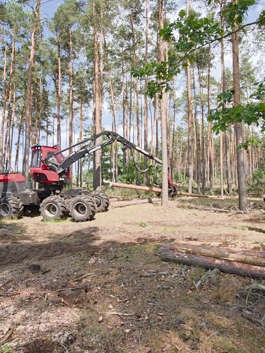 #verdie #landpartie #forstwirtschaft 