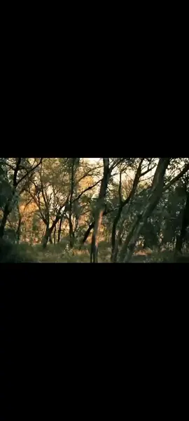 Dramaboi-Roma Nna #botswana🇧🇼tiktok #classicalmusic 