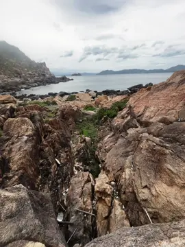 ai cũng phải..