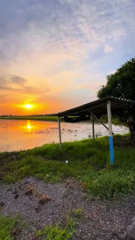 คนบ่เป็นก้าว#ท้องฟ้า⛅🌈 #ฟิดดด #วิวธรรมชาติบ้านเรา🌄 #เธรด #ยืมลงสตอรี่ได้นะ #ตอนเย็น #วิวบ้านนอก🍃 #หนองบัวลําภู 