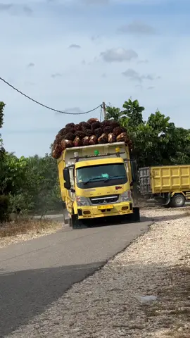 #trukriau #truck #sawit #trukganteng #fyppppppppppppppppppppppp #fyp 