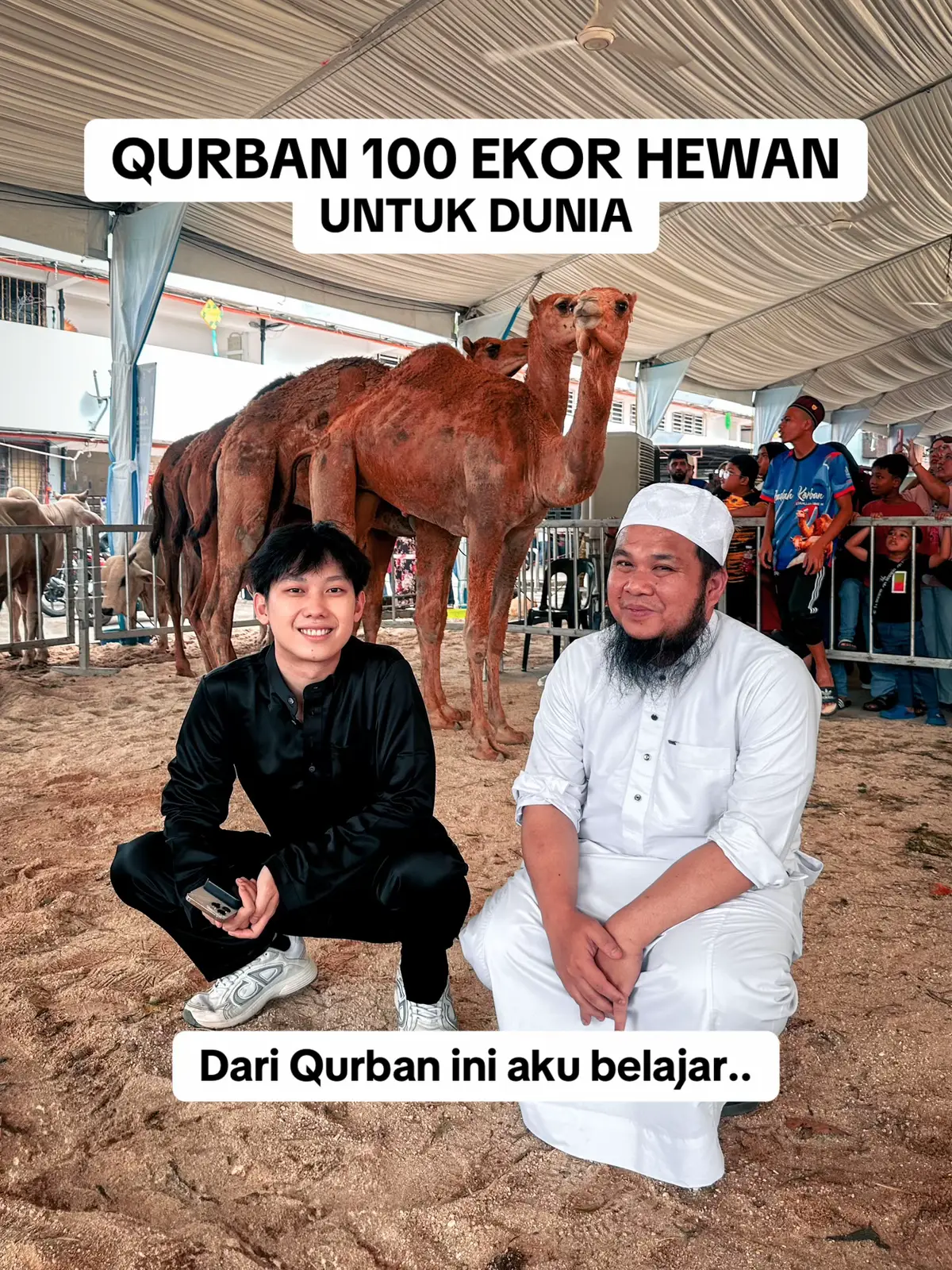 QURBAN 100 HEWAN. MAJELIS PAPA SALAM