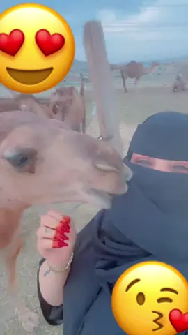 #❤️❤️❤️🇸🇦🇸🇦🇸🇦♥️♥️ 