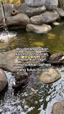 #galaubrutal 