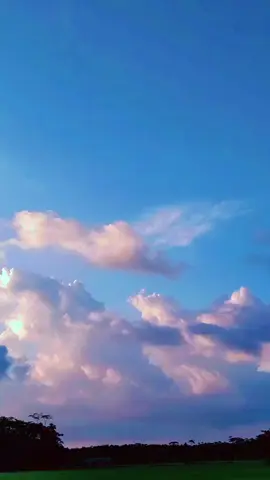 #trandingvideo #viraltiktok #trandingvideo #viraltiktok #trandingvideo #viraltiktok #netarulview #netarulview #trandingvideo #netarulview #viraltiktok 