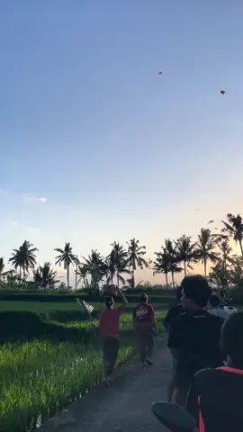 Bagian 2 | shinra tensei 🥶 #layangan #bali #shinratensei #akatsuki #layanglayangbali 