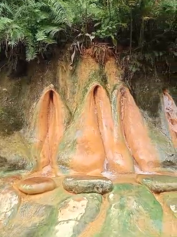 Panorama alam Pancuran Pitu !! Baturraden Banyumas Jawa Tengah !! #pancuranpitu #baturraden #baturaden #baturradenpurwokerto #kebunraya #kebunrayabaturraden #wisata #wisataalam #wisataalambanyumas #destinasiwisata #destinasiwisatabanyumas #destinasiwisatapurwokerto #banyumas #purwokerto #selametaryokusumo 