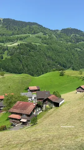 أستمتع بجمال الريف السويسري 💚🇨🇭🏡 #مرشد_سياحي_في_سويسرا #تصويري #سويسرا #السعودية 