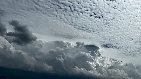 شرايكم ؟🤍