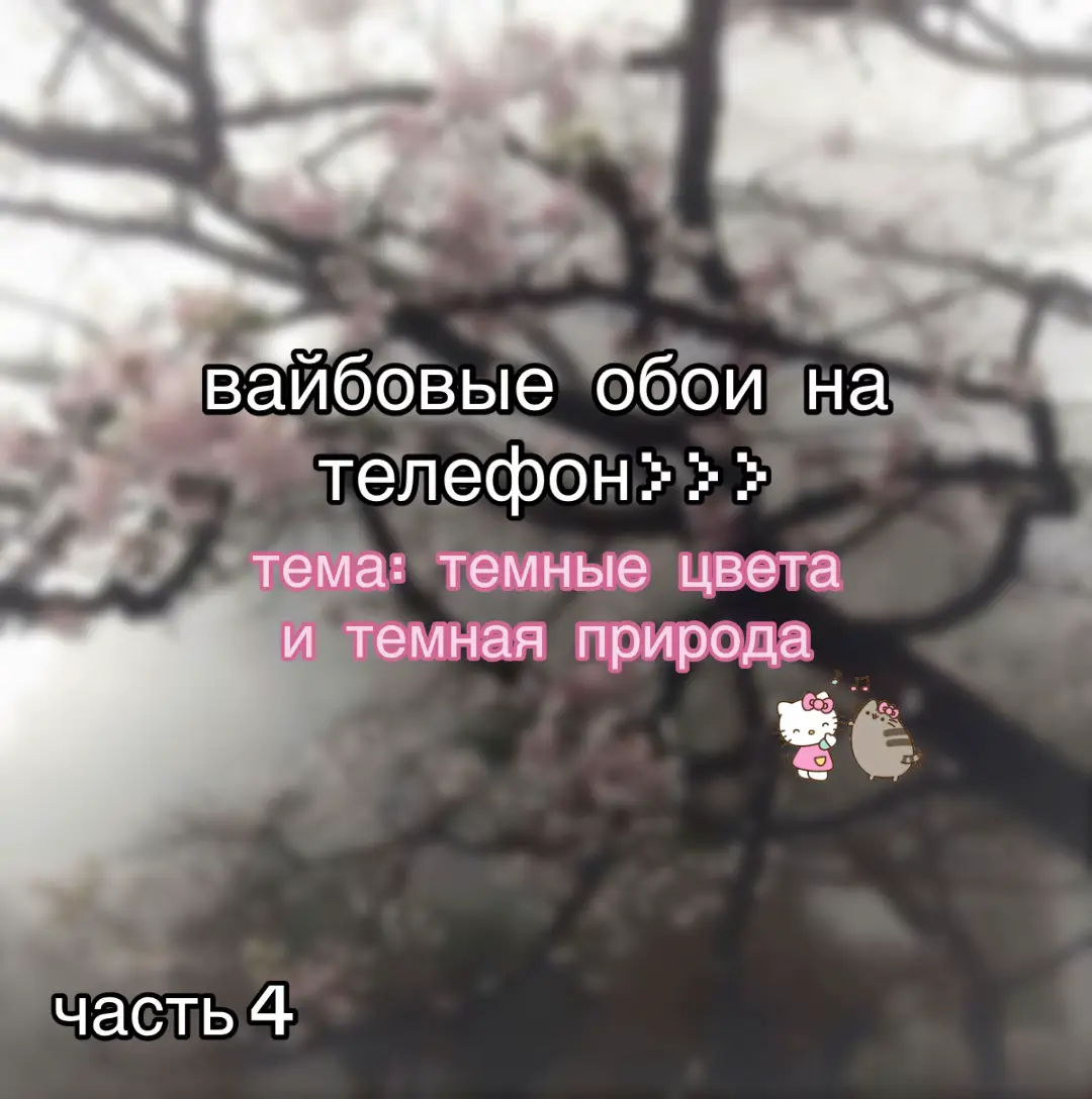 Вайбовые обои для телефона