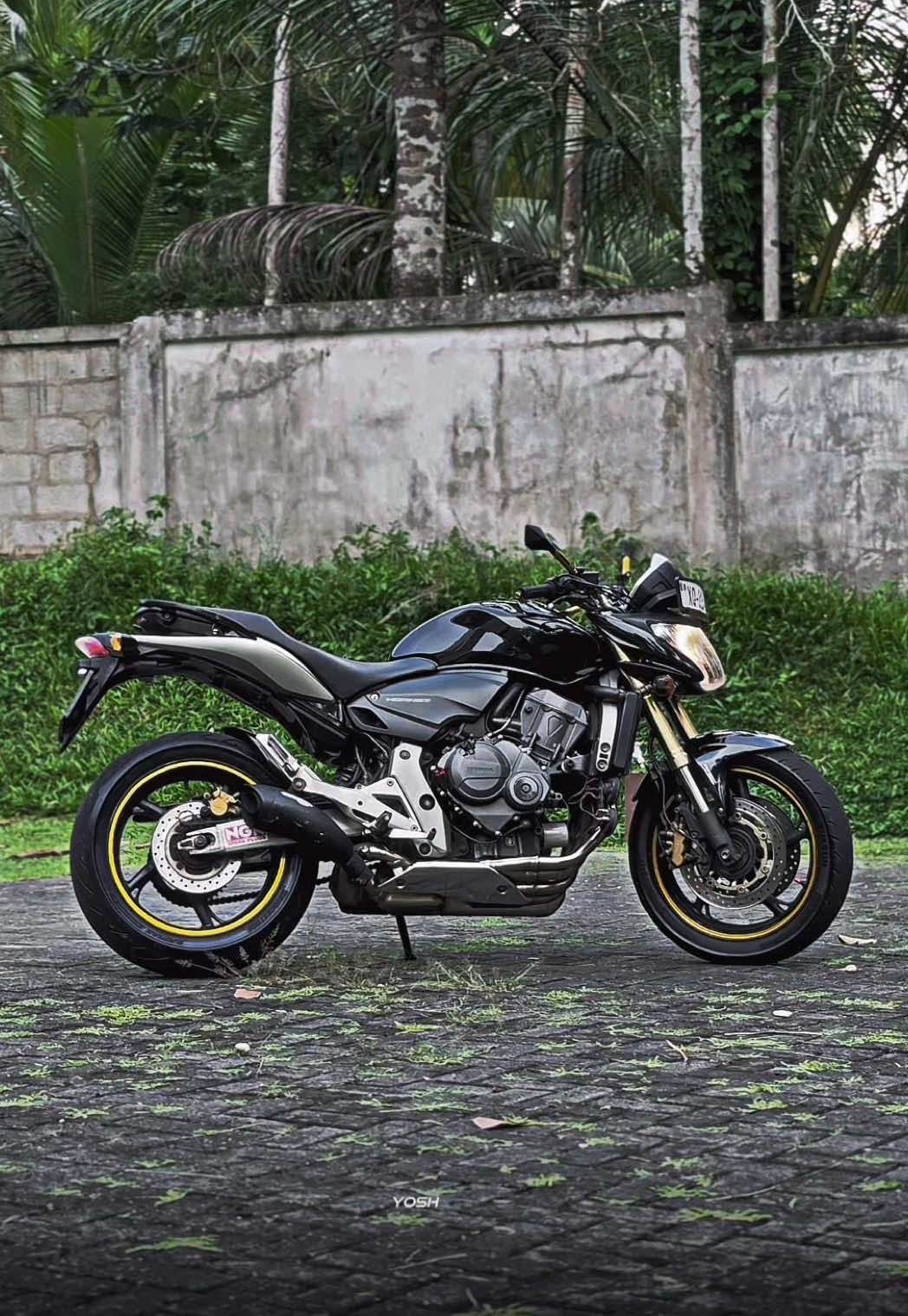 Hornet 6 🥵🤍 #CapCut #onthisday #trend #16provideography #bikeride #hornet #hornet600 #hornet600cc #hornet600cc🔥 #hornet600🚀 #hondahornet600 #hondahornet 