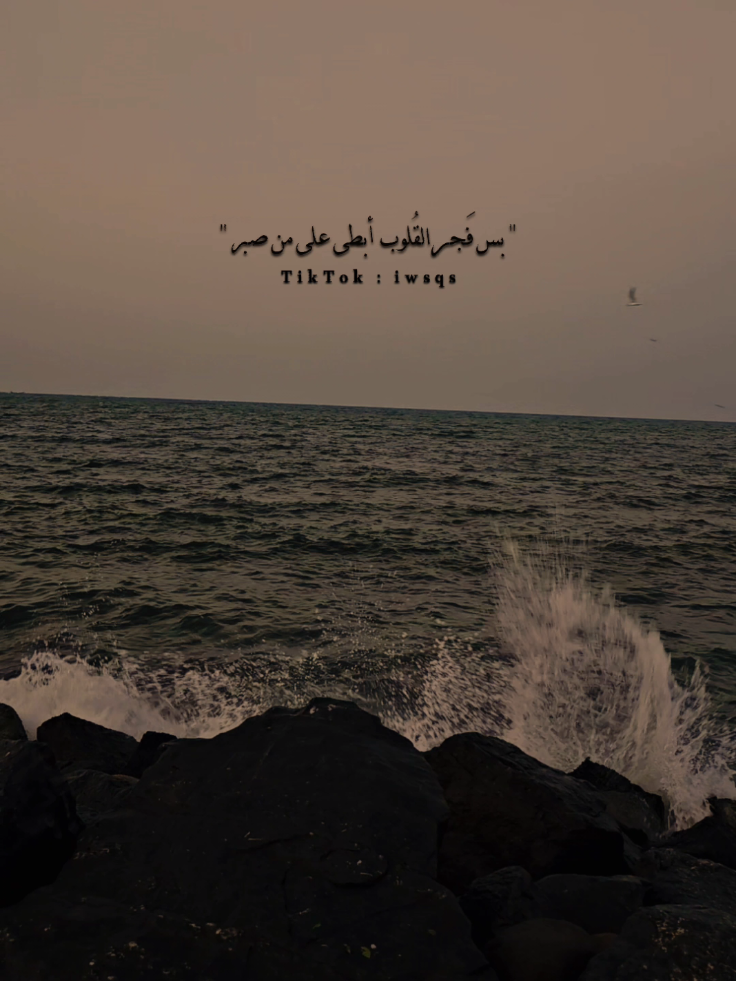 تاريخ مستحيل تنساه ؟ #تصميمي #السعودية #اليمن #صنعاء  #الرياض #اكسبلور #فولو #شيلات #تصويري #ريلز #لايك #تفاعل #متابعه #شعر #مشاعر #اغاني #حب #شروحات #شرح #جده #tiktok #viral #fyp #fypシ #photography #شروحات_تصميم #InspirationByWords #ترند #مطانيخ 