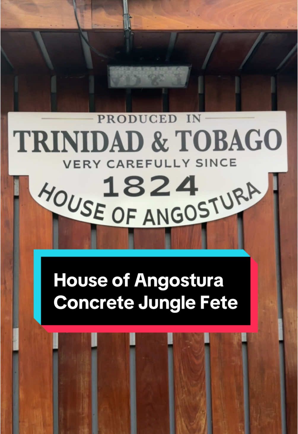 Had the best night with @House of Angostura for their Concrete Jungle Fete. Drinks were flowing and @DJ JEL | The Soca Boss gave everyone a taste of the Caribbean by playing some of the best tunes. Can’t wait for the next one. #joannaeinnyc #concretejunglefete #houseofangostura #trinitiktok #caribbeanheritagemonth 