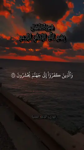 #القارىء_محمد_الفقيه_ _سورة_الأنفَال