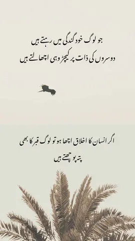 Aho 🙌🏻📝#who_shujat #foryou #foryoupage #viral #fyp 