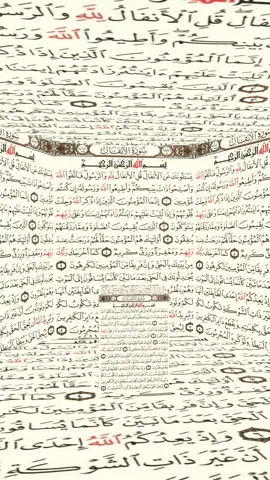 #سبحان_الله_الحمدلله_لااله_الا_الله #القران_الكريم_راحه_نفسية😍🕋 