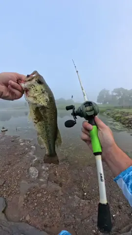 This reel though >>>> @KastKingUSA   #outdoorfun #kastkingusa #fishcombo #kastking #kastkingspartacus2 #spartacus2reel #spartacus2 #castingreel #baitcaster #spartacus2combo #spartacus2reel #fishing #fishingtips #fishtok #fish #fishingtiktok #fishinglife #fishlife #fishingtennessee #fishingreel #fishinglures #bass #largemouth #fishinggear #fishin #outdoorfun #summerturnup 