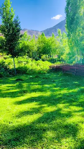 #creatorsearchinsights #nature #naturelover #paghman #kabul #newpost #foryoupagе #foryoupage❤️❤️ #foryoupageofficial #afghanistan🇦🇫 #🇦🇫 