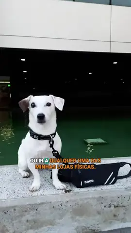O produto ideal pra quem sai pra passear com o doguinho e mais um monte de coisas nas mãos 📱📙🔑🎾💰👛🥤 A guia mãos livres com pochete jogging Doco é perfeita e está disponível no meu site, app, nas minhas lojas e agora aqui no #tiktokshop 😉 #cachorrosdotiktok #petshop #cobasilovers 