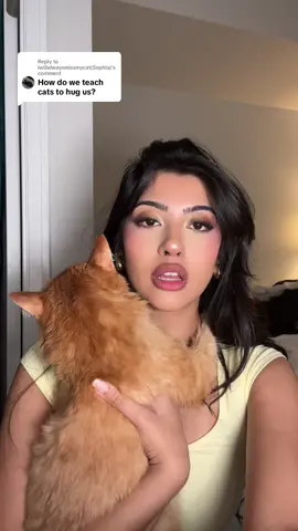 Replying to @Iwillalwaysmissmycat(Sophia) class with professor pumpkin today how to get a cuddly cat 