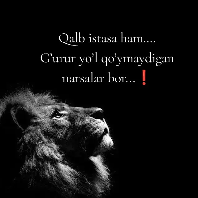 #rek #qalbdag1gaplar 