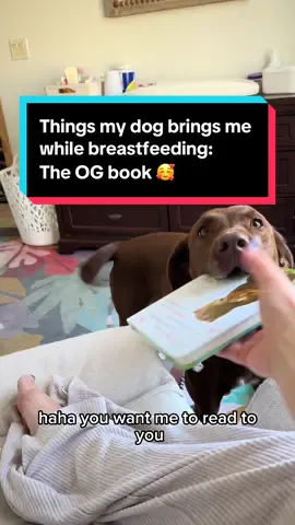Warning: this might make you cry happy tears 🥹🐾🫶🏻 I wanted a boost today, so yall get a boost today 🥰 plus I added in a few parts that were clipped out the first time 😘 #dogandbaby #dogsoftiktok #dogmom #newmom #adorable #viral #read #fyp