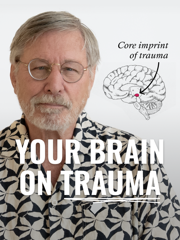 We created this video in partnership with @unlikelycollaborators. For some trauma survivors, traditional talk therapy is slow-moving and ineffective, compelling them to search for more experimental methods of healing. The Body Keeps the Score author Bessel van der Kolk says psychedelics could be one answer.  Check out @perception.box for more.
