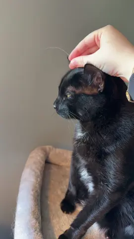 Searching for a connection 