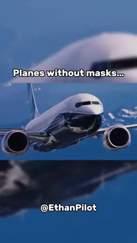 Which looks better🤔 #aviation #avgeek #plane #masks #planemasks #airbus #boeing