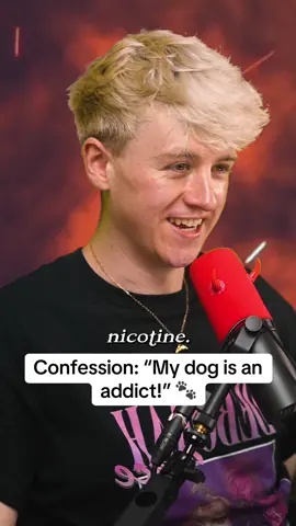 No walkies for this pooch! 🚬 #comedy #comedian #podcast