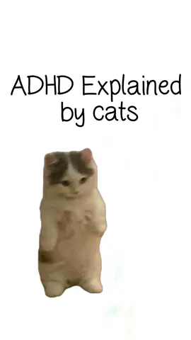 ADHD Explained by cats #catanimation #adhd 