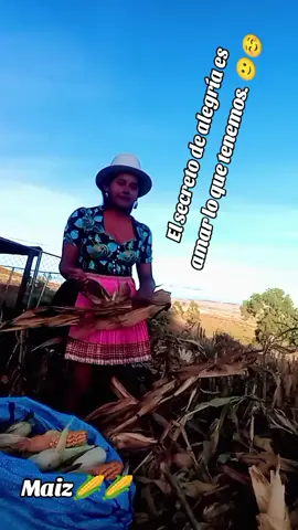 #cocechandomaíz🌽🌽🌽🌽 #paratiiiiiiiiiiiiiiiiiiiiiiiiiiiiiii #desderaqaypampa💯👏 #paratiiiiiiiiiiiiiiiiiiiiiiiiiiiiiii #conalegria #pf 