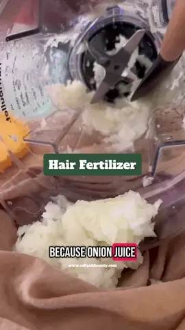 ONION JUICE FOR HAIR LOSS? HERE’S WHY IT WORKS! 🧅 If you’re dealing with hair fall or thinning, head to your kitchen.  Why Onion Juice Works: Onions are packed with sulfur, which boosts collagen production and improves blood flow to your scalp. That means: ✔️ Stimulated hair growth ✔️ Reduced shedding & thinning ✔️ Stronger, healthier strands from the root up But it gets better: 🔬 Fermented Onion Juice = Next Level  Letting your onion juice ferment for 24–48 hours does three key things: ✅ Increases enzyme activity ✅ Enhances nutrient absorption ✅ Adds natural probiotics for scalp health And let’s not forget 👉 Quercetin — a powerful antioxidant found in red onions that helps: 🔹 Reduce inflammation on the scalp 🔹 Protect hair follicles from oxidative stress 🔹 Support healthier, thicker growth over time How to Use It: 1️⃣ Blend 1–2 onions and strain the juice 2️⃣ Let it sit in a sealed jar at room temp for 48-72 hours to ferment 3️⃣ Apply to your scalp and massage it in 4️⃣ Leave on for 30–60 minutes, then rinse with our clarity shampoo 📅 Use 1–2 times per week consistently 🌱 Pro Tips for Best Results: • Add a few drops of rosemary or lavender oil to cut the onion smell • Always do a patch test if you have sensitive skin • Be patient — visible results often take 2–4 weeks of consistent use • Store leftovers in the fridge for up to 3 days Fun Fact: Red onions are especially high in quercetin, so opt for those when possible for an extra boost! #onionjuice #onionjuiceforhairgrowth #hairthinning #onionjuiceforhair #sulfurforhair
