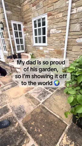 #englishgarden #garden #gardening #homegrown #fresh #dadsoftiktok #spring #flowers #florist #yorkshire
