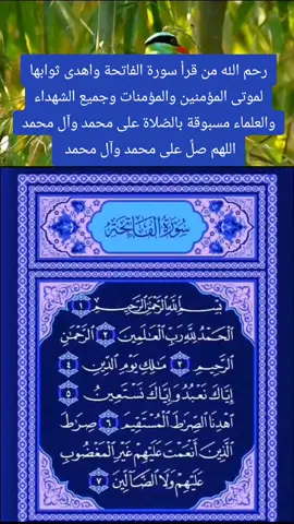 سورة الفاتحة مكتوبة🌸🌸 «بِسْمِ اللَّهِ الرَّحْمَنِ الرَّحِيمِ (1)الْحَمْدُ لِلَّهِ رَبِّ الْعَالَمِينَ (2) الرَّحْمَنِ الرَّحِيمِ (3) مَالِكِ يَوْمِ الدِّينِ (4) إِيَّاكَ نَعْبُدُ وَإِيَّاكَ نَسْتَعِينُ (5) اهْدِنَا الصِّرَاطَ الْمُسْتَقِيمَ (6) صِرَاطَ الَّذِينَ أَنْعَمْتَ عَلَيْهِمْ غَيْرِ الْمَغْضُوبِ عَلَيْهِمْ وَلَا الضَّالِّينَ (7)». #سورة_الفاتحة #سورة_الفاتحة #سورة_الفاتحة_الحمد_لله_رب_العالمين #سورة_الفاتحة💕 #عامر_الكاظمي_قرآن #ليلة_الجمعة_المباركة #ليلة_الجمعة_والصلاة_على_محمد_وال_محمد #الحمدالله_علی_کل_حال❤ #سبحان_الله_وبحمده_سبحان_الله_العظيم #محرم #عاشوراء_الحسين_محرم_الحرام 