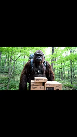 Reviewing some products #bigfootvlogs #bigfoot #veo3 #funny #Vlog #review
