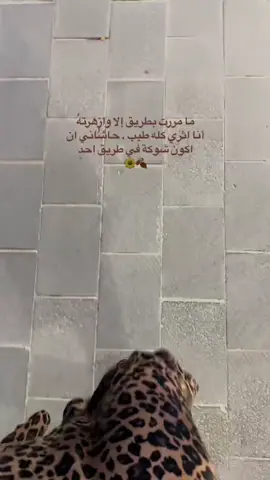 #‏عائلتي لا تقبل بوجودك معي وعائلتك لا تقبل بوجودي معك عائلتنا تعترض بيننا لكننا نتقبل وجودنا مع بعض 😔✨#قالب_جاهز_نار🔥 #مشاهير_تيك_توك_مشاهير_العرب #قالب_كاب_كات_نار_جاهز_استخدموه #قالب_كاب_كات_نار_جاهز_استخدموه #محضوره_من_الاكسبلور_والمشاهدات 