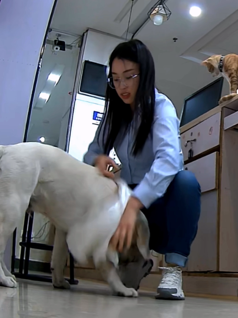My dog🐶 wear cloth#dog #fyp #viralvideo